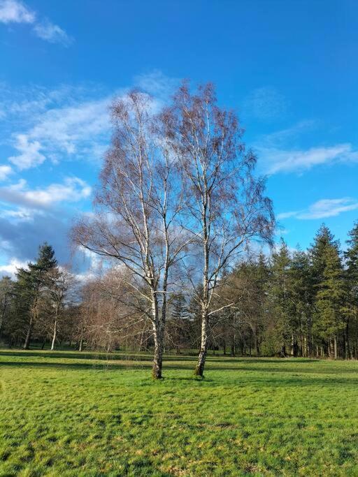 Le Jardin Medicis Avec Spa Privatif Tredion Buitenkant foto